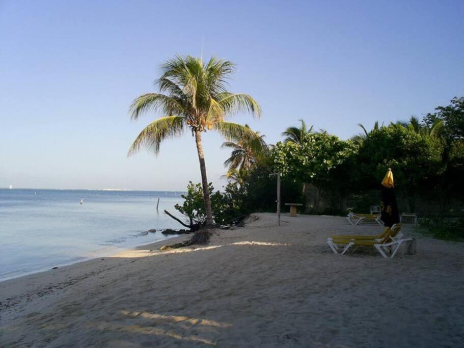 Marysol Private Beach Next To Nomads D5 イスラ・ムヘーレス エクステリア 写真