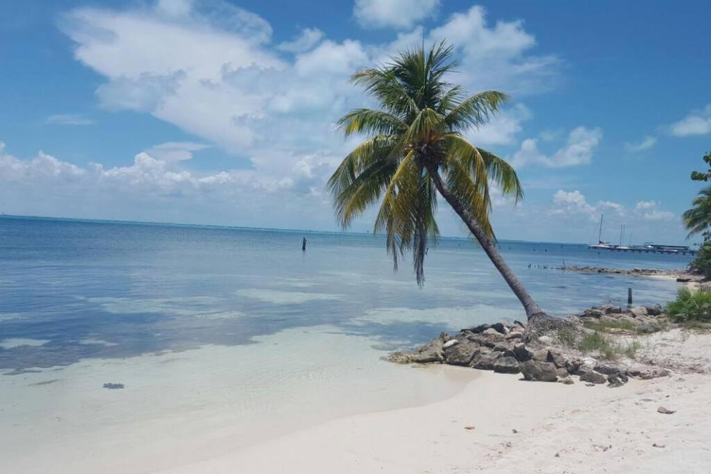Marysol Private Beach Next To Nomads D5 イスラ・ムヘーレス エクステリア 写真